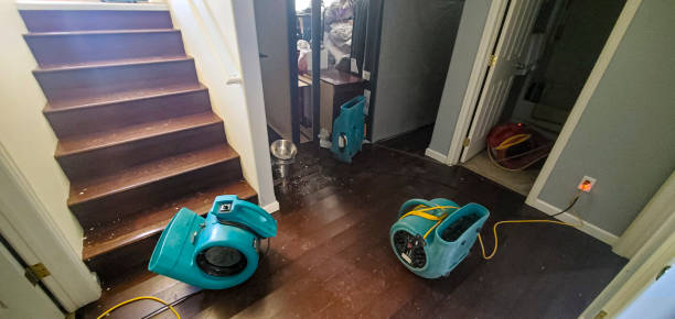 Best Water damage contractors near me  in Garden City, MI