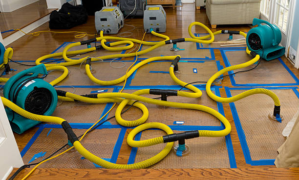 Water damage restoration process in Garden City, MI